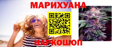 сатива Апшеронск