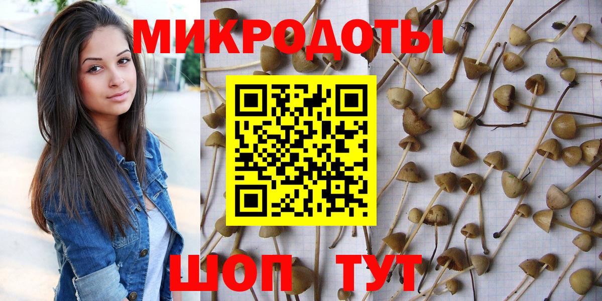 Галлюциногенные грибы Cubensis Стерлитамак