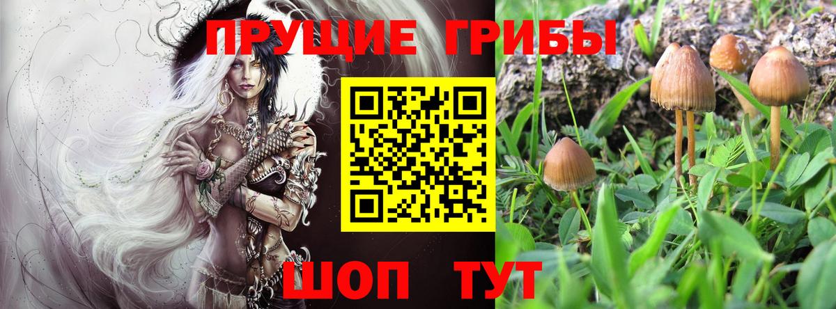 Гашиш  Каннабис  ЭКСТАЗИ  COCAIN  КЕТАМИН  Меф кристаллы  Стерлитамак  Вход с VPN 